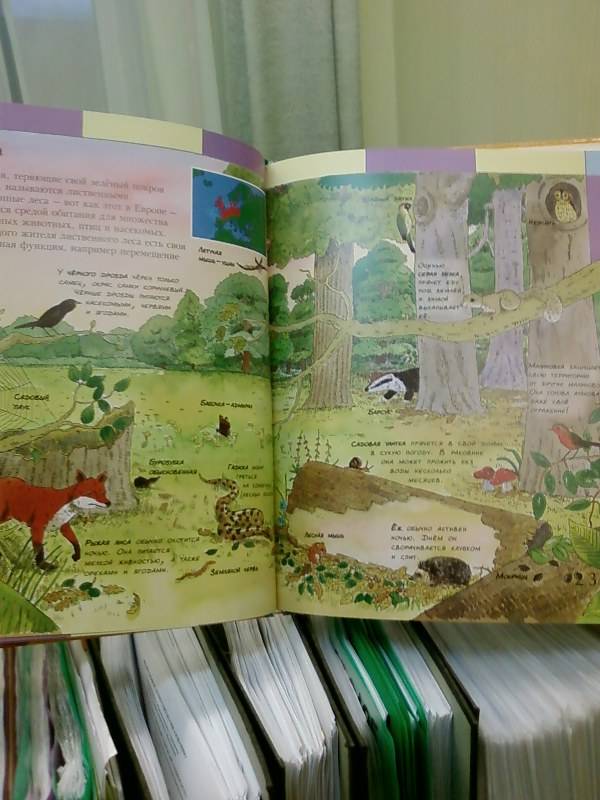 Иллюстрация 7 из 31 для Детский атлас животных - Дебора Чанселлор | Лабиринт - книги. Источник: lettrice