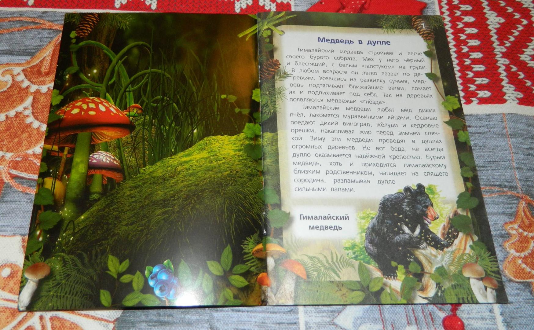 Иллюстрация 14 из 21 для Хищные звери - Александр Тихонов | Лабиринт - книги. Источник: Екатерина