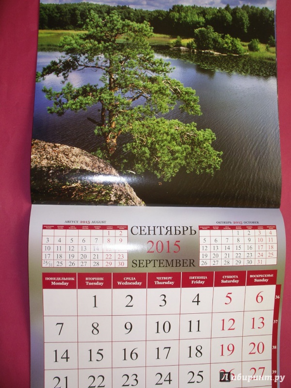 Иллюстрация 10 из 31 для Календарь 2015 "Природа России" | Лабиринт - сувениры. Источник: Tiger.