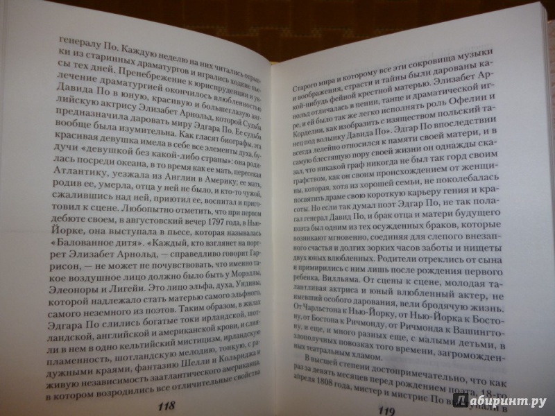 Иллюстрация 24 из 26 для Стихотворения - Эдгар По | Лабиринт - книги. Источник: Бабкин  Михаил Юрьевич