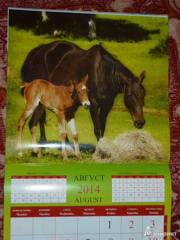 Иллюстрация 11 из 16 для Календарь 2014 "Год лошади" | Лабиринт - сувениры. Источник: Шубина  Диана Владимировна