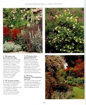 Иллюстрация 6 из 15 для Дизайн сада - Джон Брукс | Лабиринт - книги. Источник: Nadezhda_S