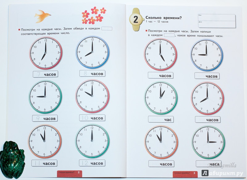 Иллюстрация 10 из 50 для KUMON. Учимся определять время. Минуты - Тору Кумон | Лабиринт - книги. Источник: Букландия