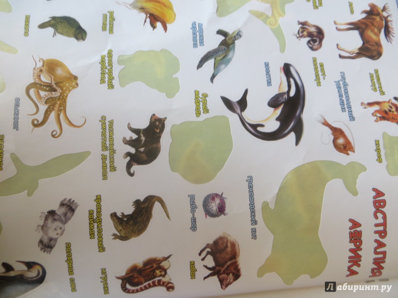 Иллюстрация 16 из 23 для Атлас мира с наклейками. Животные и растения | Лабиринт - книги. Источник: Ko-ren