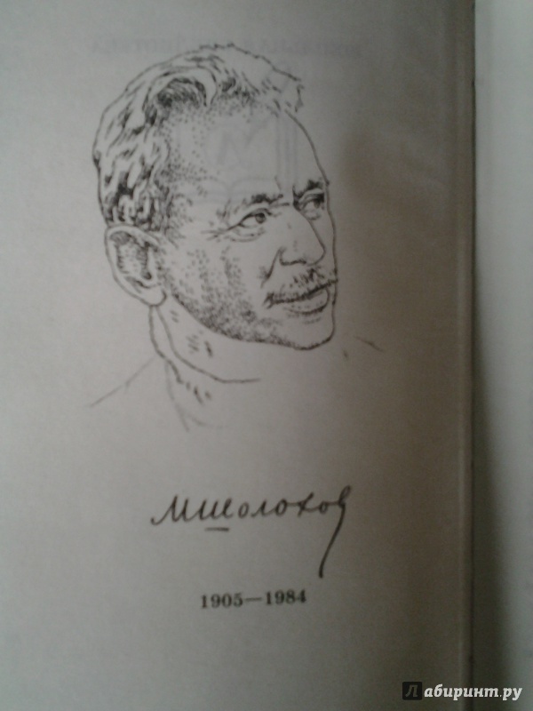 Читатели понимают что когда шолохов рисует. Рисунок Михаила Шолохова.
