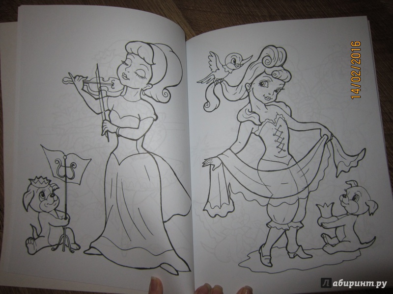 Иллюстрация 15 из 16 для Суперраскраски для девочек | Лабиринт - книги. Источник: Петрова  Евгения Владимировна
