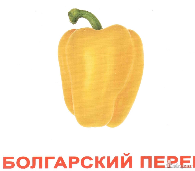 Иллюстрация 27 из 36 для Комплект карточек "Овощи" (16,5х19,5 см) - Носова, Епанова | Лабиринт - игрушки. Источник: irinka_kiv