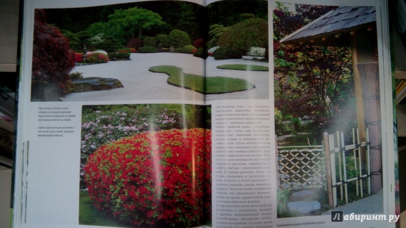 Иллюстрация 20 из 27 для Стиль и дизайн вашего сада - Мередит Киртон | Лабиринт - книги. Источник: Мила