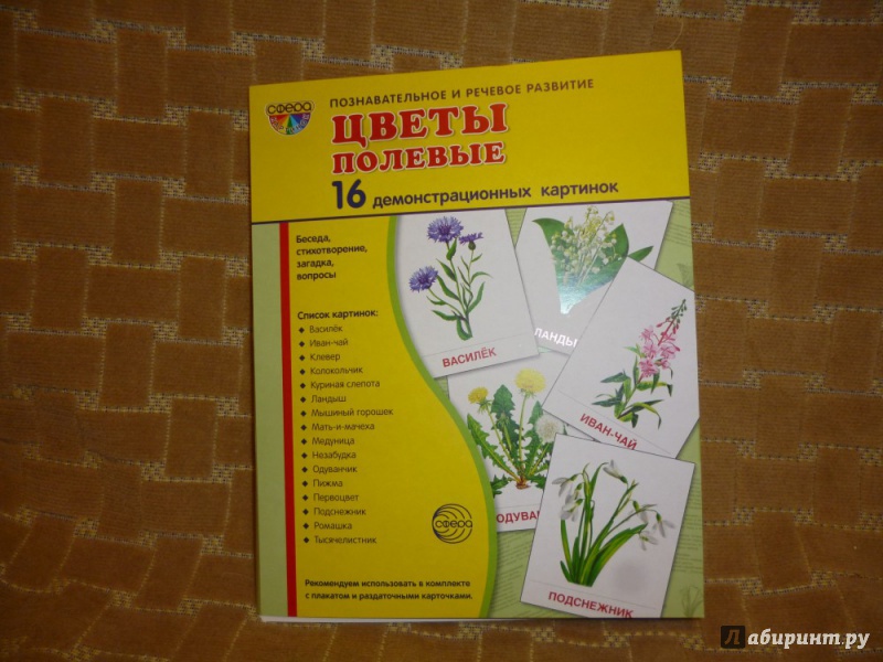 Иллюстрация 2 из 17 для Демонстрационные картинки "Цветы полевые" (173х220 мм) - Т. Цветкова | Лабиринт - книги. Источник: Бабкин  Михаил Юрьевич