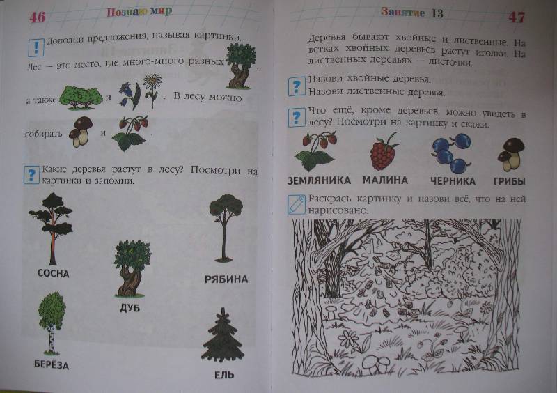 Иллюстрация 2 из 3 для Познаю мир: Для одаренных детей 4-5 лет - Валентина Егупова | Лабиринт - книги. Источник: Jamberry