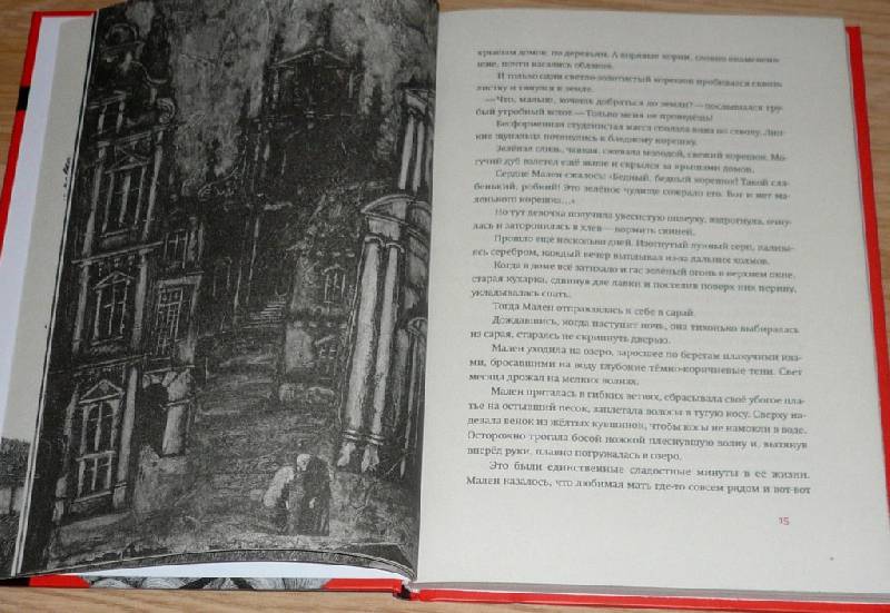 Иллюстрация 13 из 58 для Подземный принц - Софья Прокофьева | Лабиринт - книги. Источник: Pam