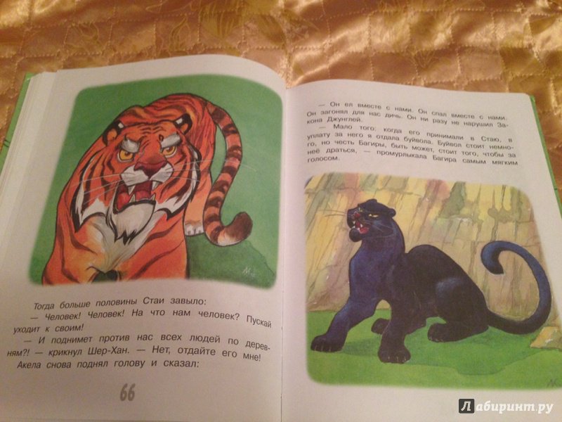 Иллюстрация 18 из 19 для Маугли. Сказки - Редьярд Киплинг | Лабиринт - книги. Источник: Кожухова  Юлия
