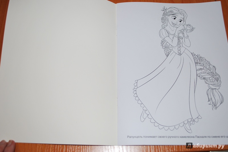 Иллюстрация 2 из 10 для Волшебная раскраска. Принцессы (№15013) | Лабиринт - книги. Источник: Нади