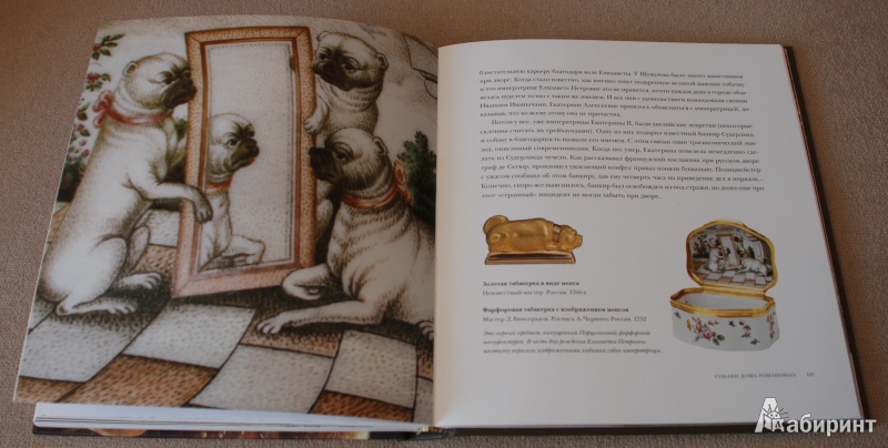 Иллюстрация 14 из 20 для Боги, люди, собаки - Голь, Халтунен, Мамонова | Лабиринт - книги. Источник: Книжный кот