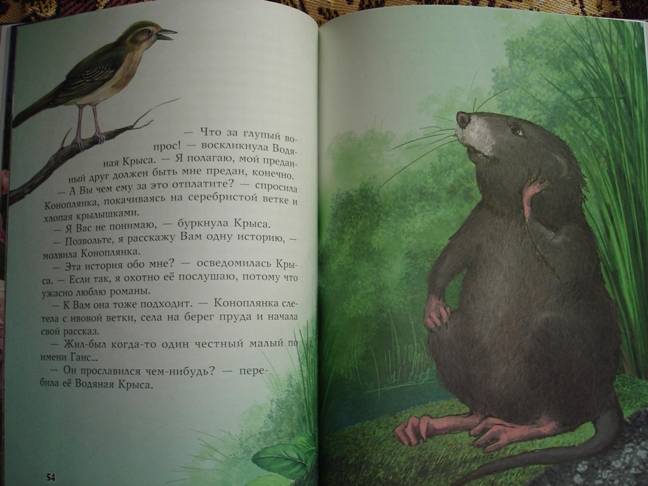 Иллюстрация 8 из 25 для Мальчик Звезда - Оскар Уайльд | Лабиринт - книги. Источник: Павлинова  Ирина Евгеньевна