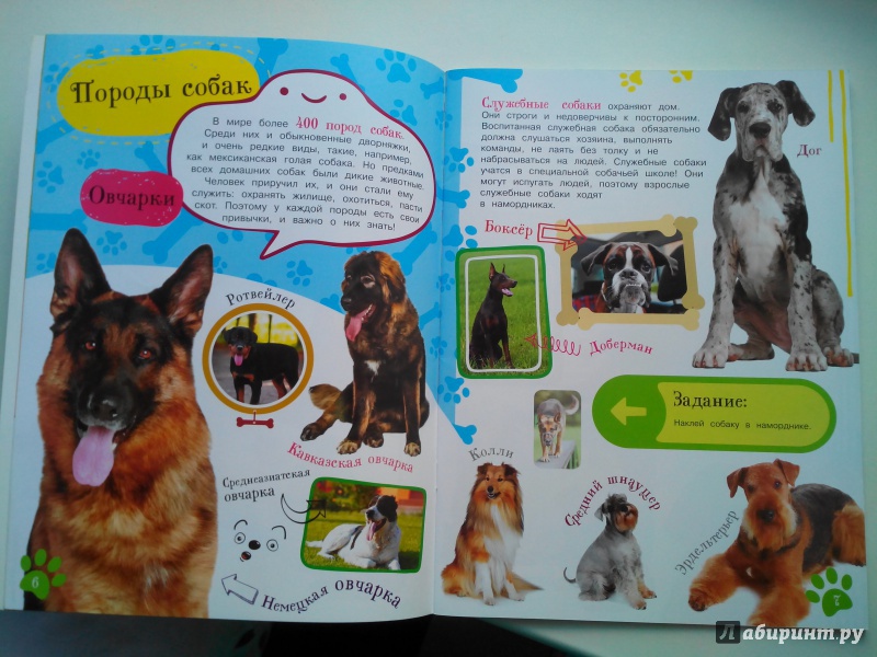 Иллюстрация 10 из 20 для Как воспитать щенка | Лабиринт - книги. Источник: Александра Джейлани