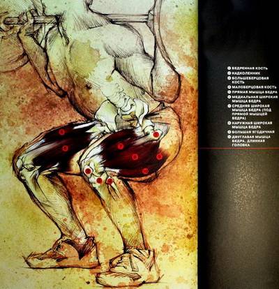 Иллюстрация 31 из 33 для Большая книга мышц - Кинг, Шулер | Лабиринт - книги. Источник: Nadezhda_S