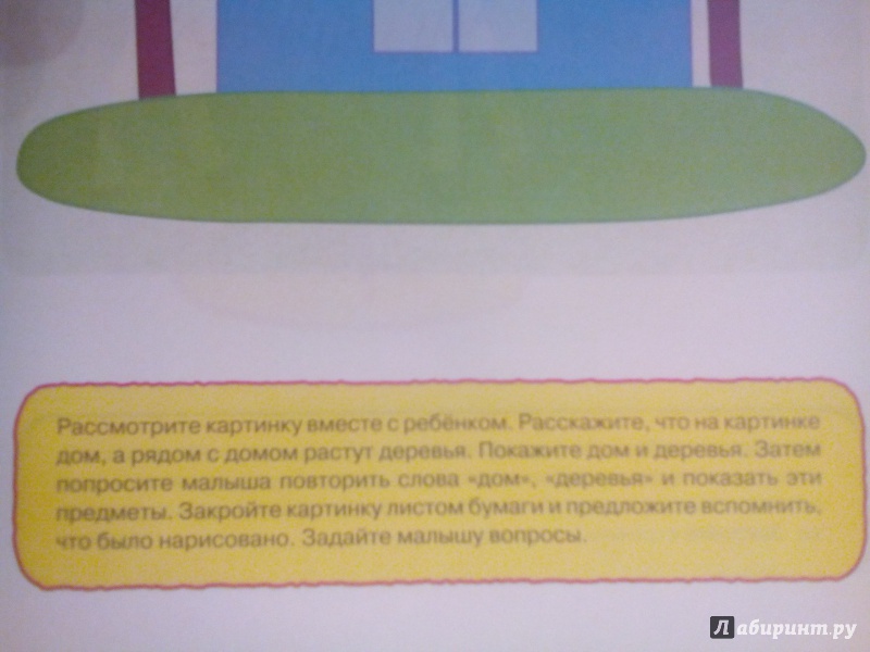 Иллюстрация 22 из 45 для Запомни картинки. Развиваем память. 1-2 года - Ольга Земцова | Лабиринт - книги. Источник: Живилова  Юлия