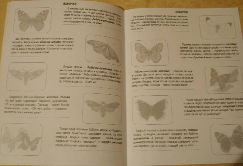 Иллюстрация 4 из 16 для Бабочки. Книжка с наклейками - Инна Гамазкова | Лабиринт - книги. Источник: Tatka