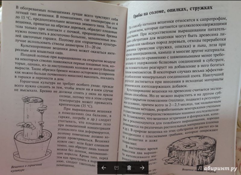 Иллюстрация 3 из 15 для Выращивание грибов дома и на участке - Челищев, Иванов | Лабиринт - книги. Источник: Nadezhda  Marchenko