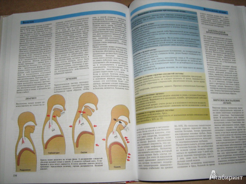 Иллюстрация 16 из 28 для Большая медицинская энциклопедия | Лабиринт - книги. Источник: Mashutka