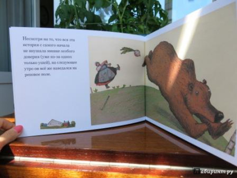 Иллюстрация 8 из 38 для Медвежье чудо - Вольф Эрльбрух | Лабиринт - книги. Источник: Люблю книги)