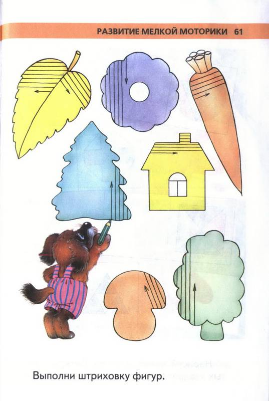 Иллюстрация 27 из 30 для Игры и задания на интеллектуальное развитие ребенка 5-6 лет - Юлия Соколова | Лабиринт - книги. Источник: Ялина