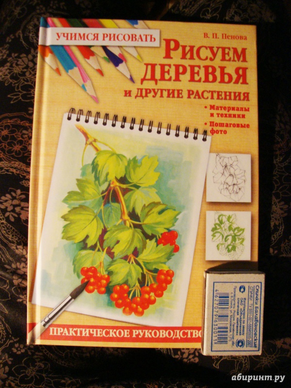 Иллюстрация 4 из 25 для Рисуем деревья и другие растения - Валентина Пенова | Лабиринт - книги. Источник: Ш.  Алла
