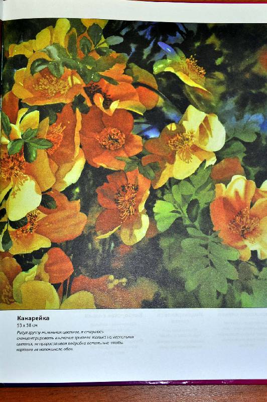 Иллюстрация 3 из 26 для Рисуем цветы акварелью - Жанет Уиттл | Лабиринт - книги. Источник: Ассоль