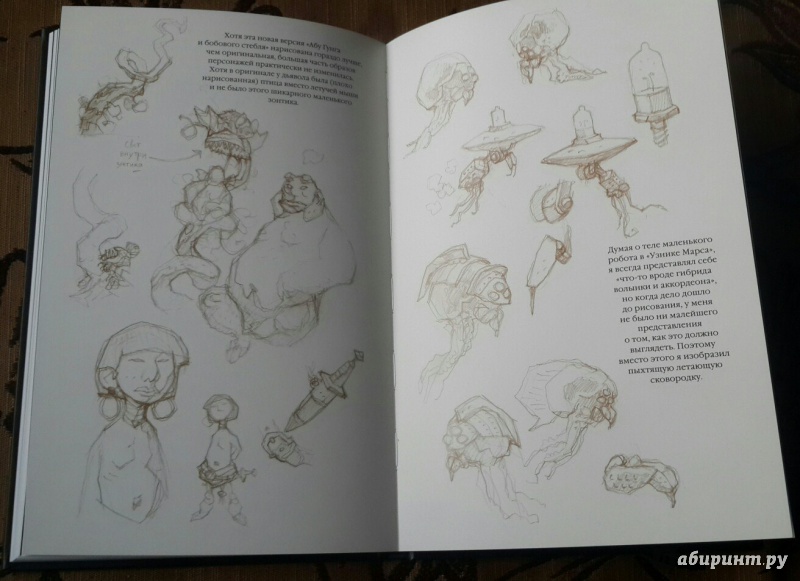 Иллюстрация 24 из 24 для Удивительный Голова-Винт и другие любопытные объекты - Миньола, Миньола | Лабиринт - книги. Источник: Пако