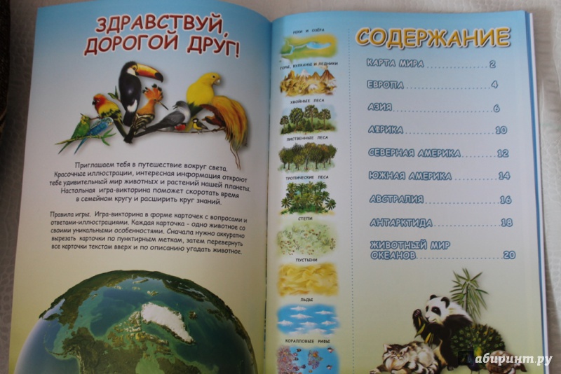 Иллюстрация 9 из 34 для Мой первый атлас мира. Животные и растения | Лабиринт - книги. Источник: Svetlan