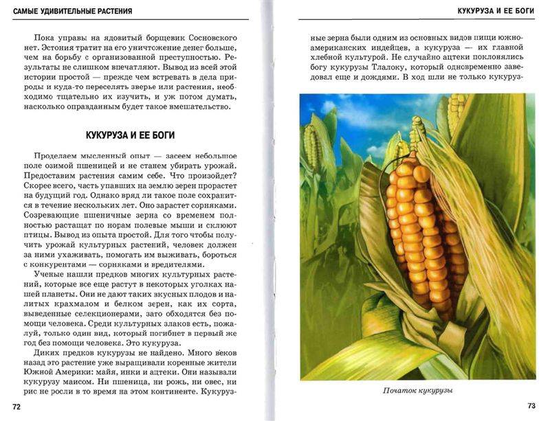 Иллюстрация 6 из 54 для Самые удивительные растения - Сергей Афонькин | Лабиринт - книги. Источник: Юта