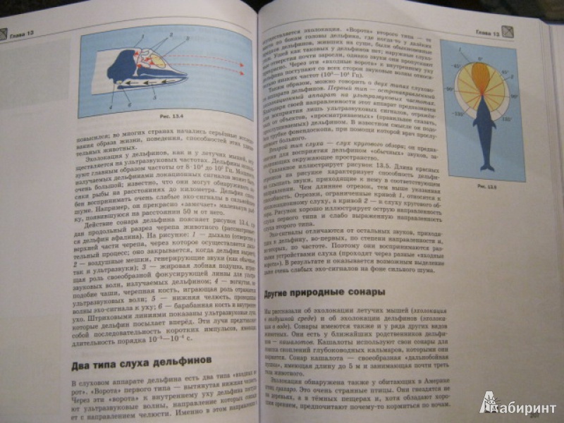 Иллюстрация 15 из 17 для Физика природных явлений. Книга для учащихся - Лев Тарасов | Лабиринт - книги. Источник: Евгения39