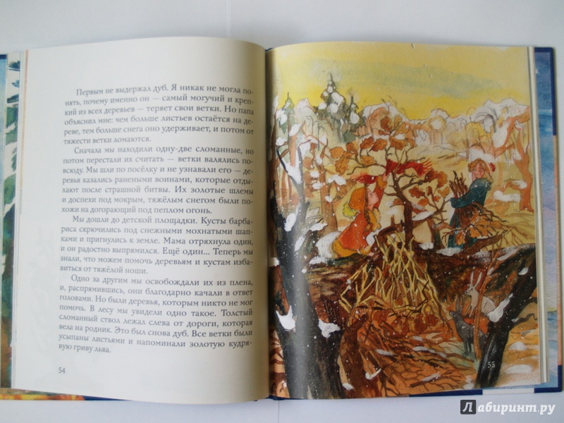 Иллюстрация 13 из 20 для Шуркины рассказы - Елена Черкасова | Лабиринт - книги. Источник: Cовушка