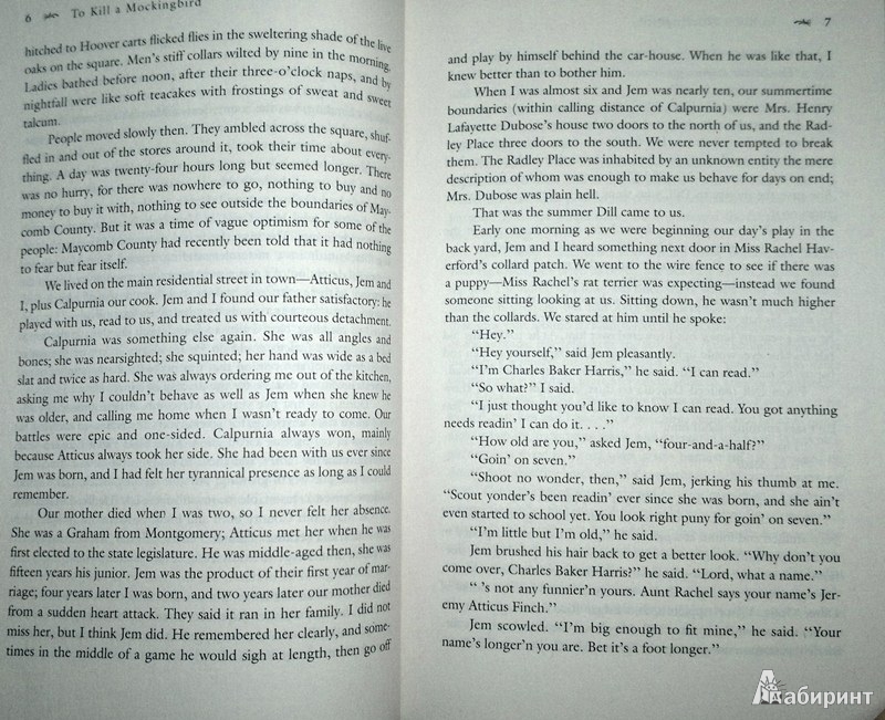 Иллюстрация 6 из 15 для To Kill A Mockingbird - Harper Lee | Лабиринт - книги. Источник: Леонид Сергеев