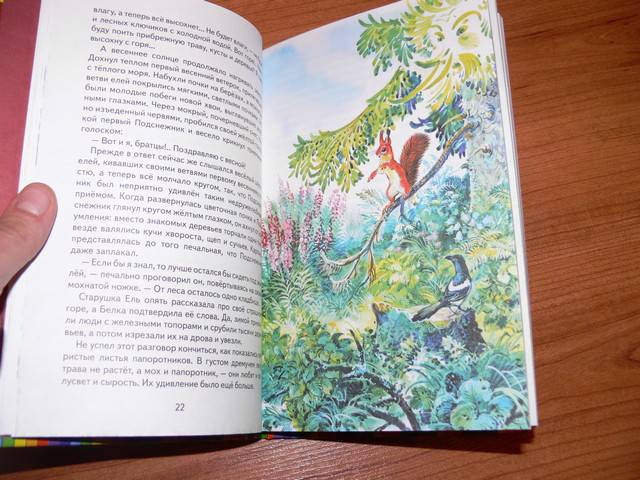 Иллюстрация 33 из 54 для Серая Шейка - Дмитрий Мамин-Сибиряк | Лабиринт - книги. Источник: Irbis
