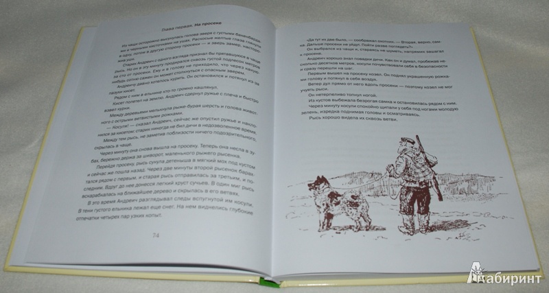 Иллюстрация 13 из 25 для Город и лес у моря - Виталий Бианки | Лабиринт - книги. Источник: Книжный кот