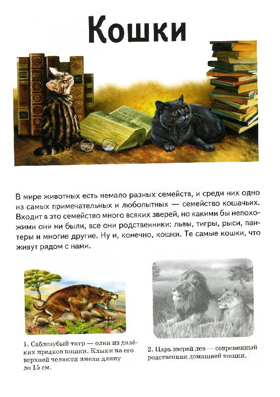 Иллюстрация 6 из 10 для Кошки - А. Бугаев | Лабиринт - книги. Источник: РИВА