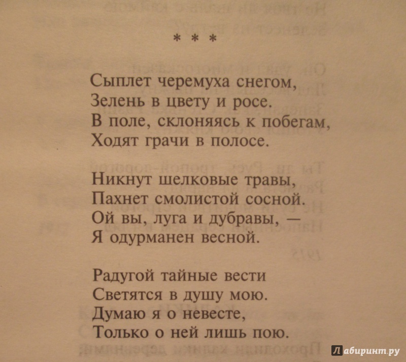 Иллюстрация 14 из 32 для Стихотворения и поэмы - Сергей Есенин | Лабиринт - книги. Источник: NiNon