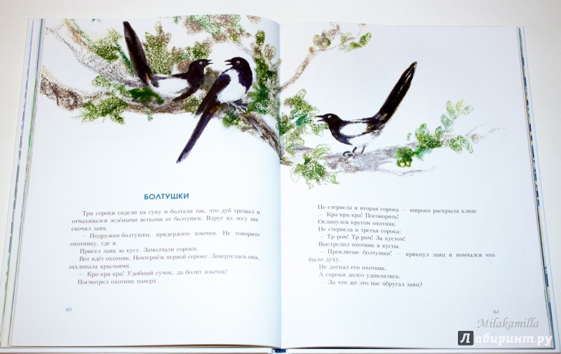 Иллюстрация 65 из 106 для Синие листья - Валентина Осеева | Лабиринт - книги. Источник: Букландия
