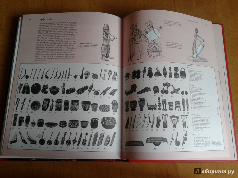 Иллюстрация 19 из 28 для Музыкальные инструменты мира | Лабиринт - книги. Источник: Кузьмина  Татьяна