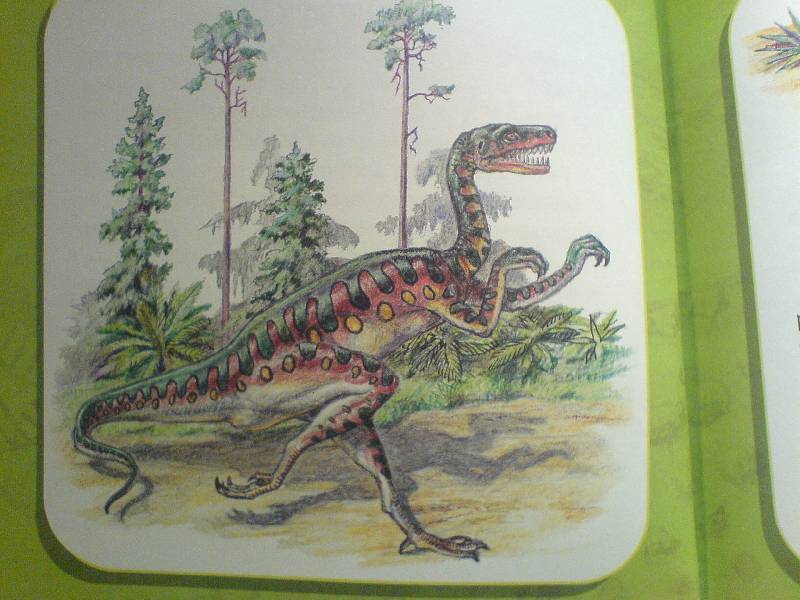 Иллюстрация 10 из 17 для Про динозавров - Мария Диденко | Лабиринт - книги. Источник: Киви