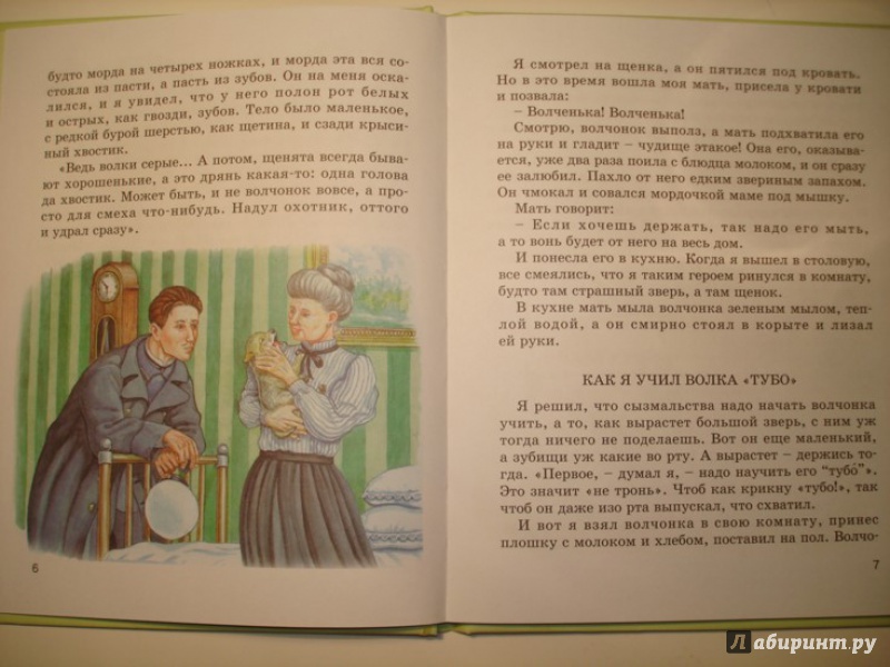 Иллюстрация 3 из 7 для Мой серый друг - Житков, Чехов | Лабиринт - книги. Источник: Сорокина  Лариса