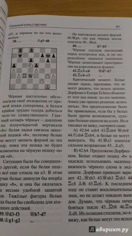Иллюстрация 7 из 31 для Шахматы. Уроки стратегии - Ян Тимман | Лабиринт - книги. Источник: Wiseman