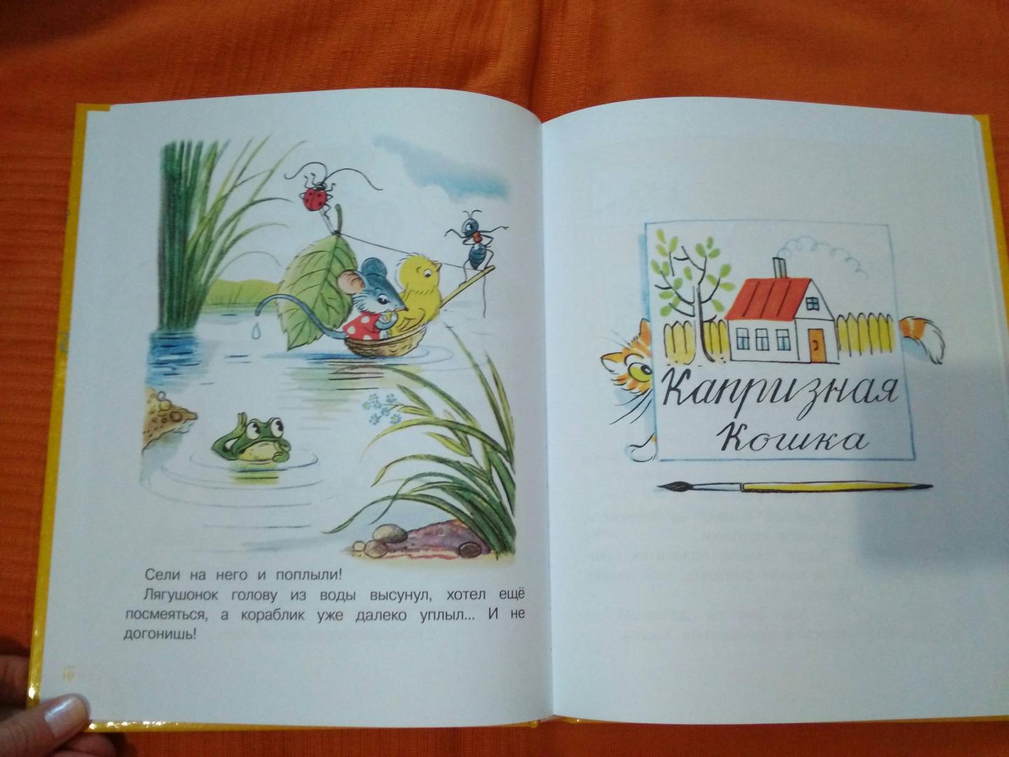 Иллюстрация 12 из 16 для Сказочные истории в картинках - Владимир Сутеев | Лабиринт - книги. Источник: B-olga