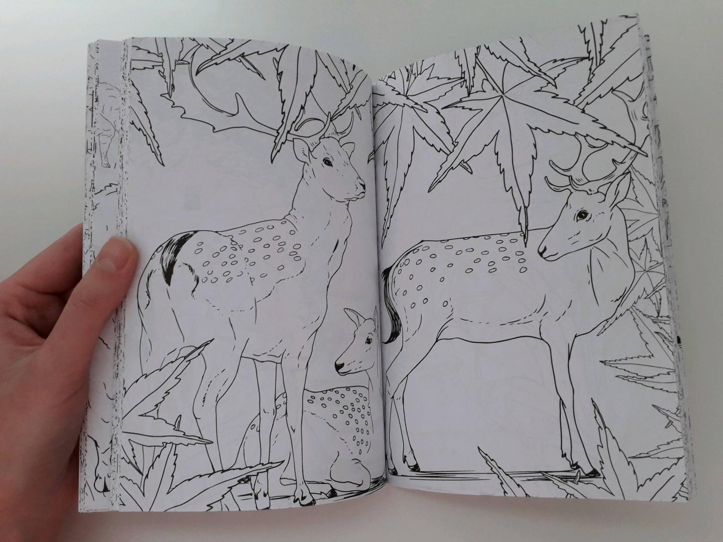 Иллюстрация 42 из 44 для Удивительные животные. Мини-раскраска-антистресс для творчества и вдохновения | Лабиринт - книги. Источник: kassandra236
