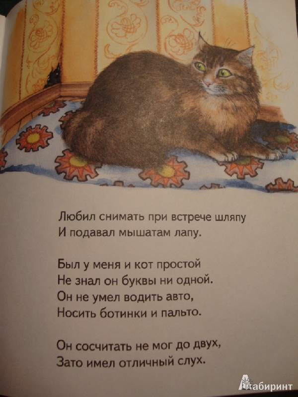 Иллюстрация 4 из 23 для Два кота - Владимир Степанов | Лабиринт - книги. Источник: koshkindom