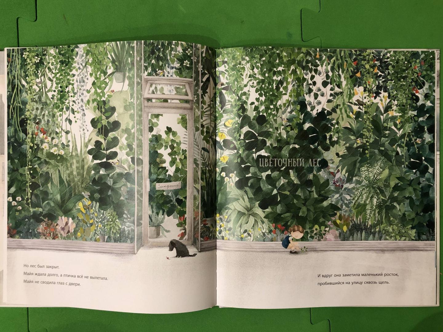 Иллюстрация 34 из 42 для Цветочный лес - Анна Уокер | Лабиринт - книги. Источник: Назаретян Карина