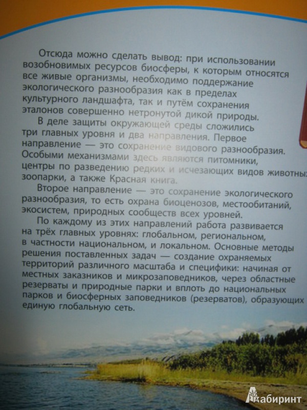 Иллюстрация 4 из 11 для Охрана природы - Дроздов, Макеев | Лабиринт - книги. Источник: Евгения39