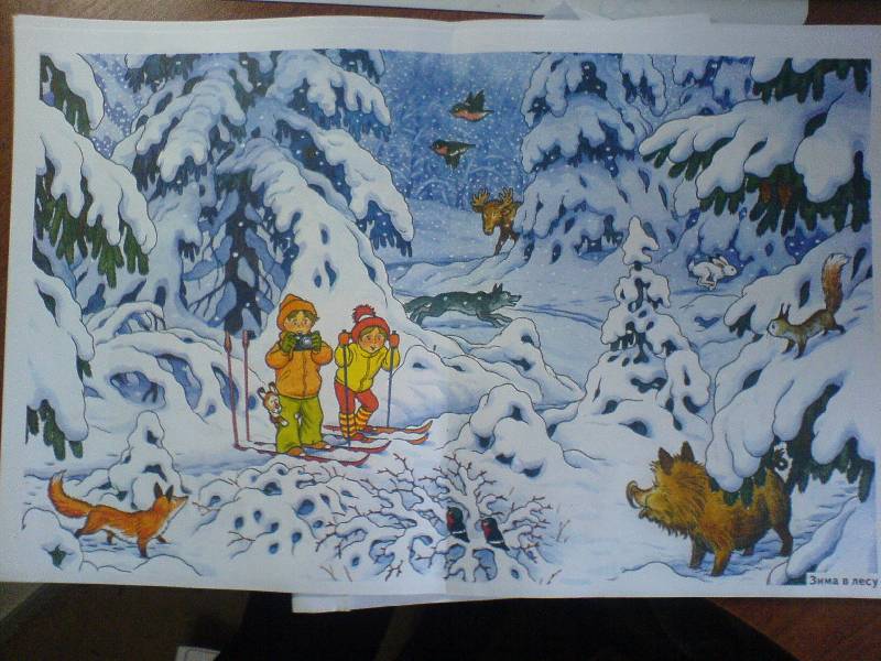 Картины средней группе. Сюжетная картина зимний лес для детей. Сюжетная картина зима в лесу. Наглядное пособие "зима в картинках". Наглядные пособия для детей зима.